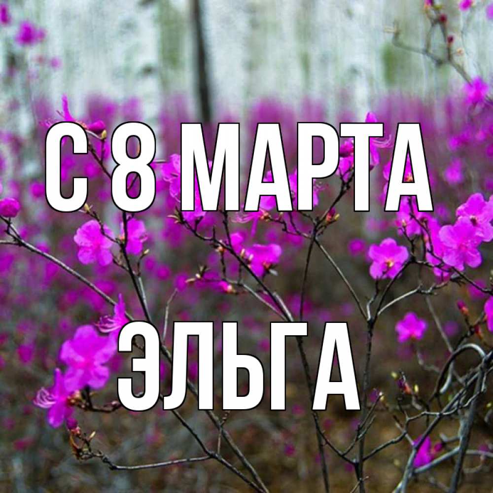 Открытка на каждый день с именем, Эльга С 8 МАРТА дикие цветы Прикольная открытка с пожеланием онлайн скачать бесплатно 