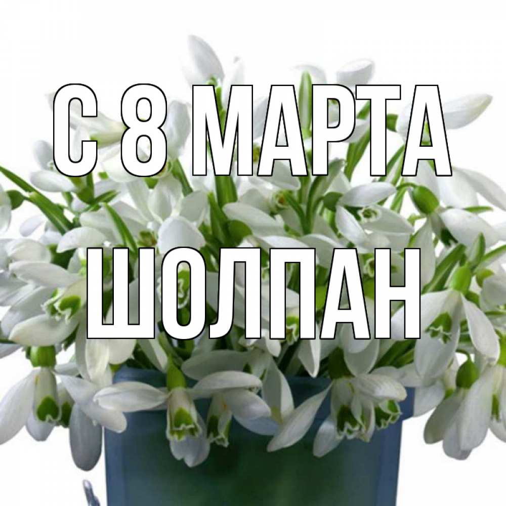 Открытка на каждый день с именем, Шолпан С 8 МАРТА цветы к международному женскому дню Прикольная открытка с пожеланием онлайн скачать бесплатно 