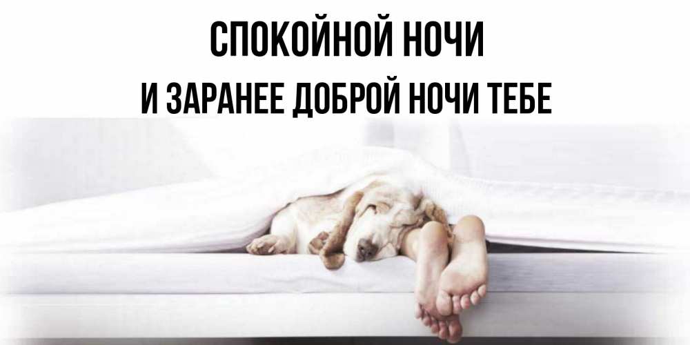 Картинка Спокойной ночи, и заранее доброй ночи тебе
