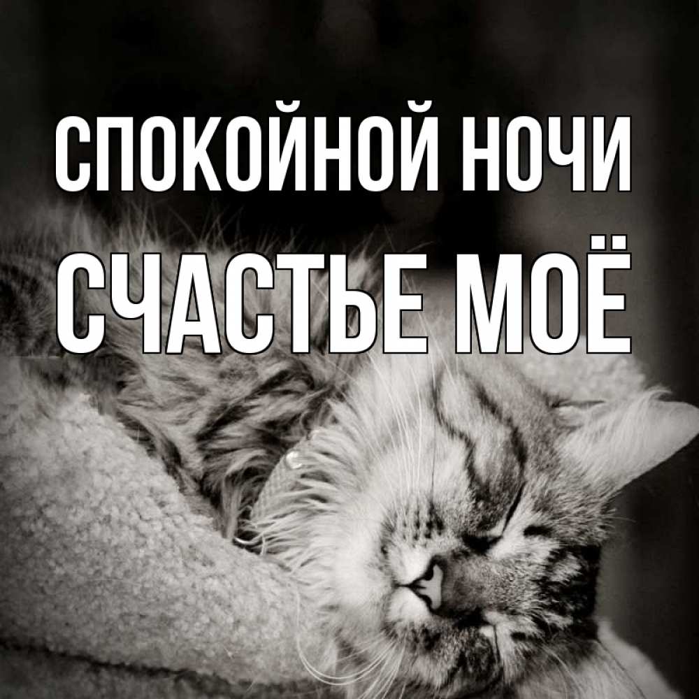 Картинка Спокойной ночи, счастье моё