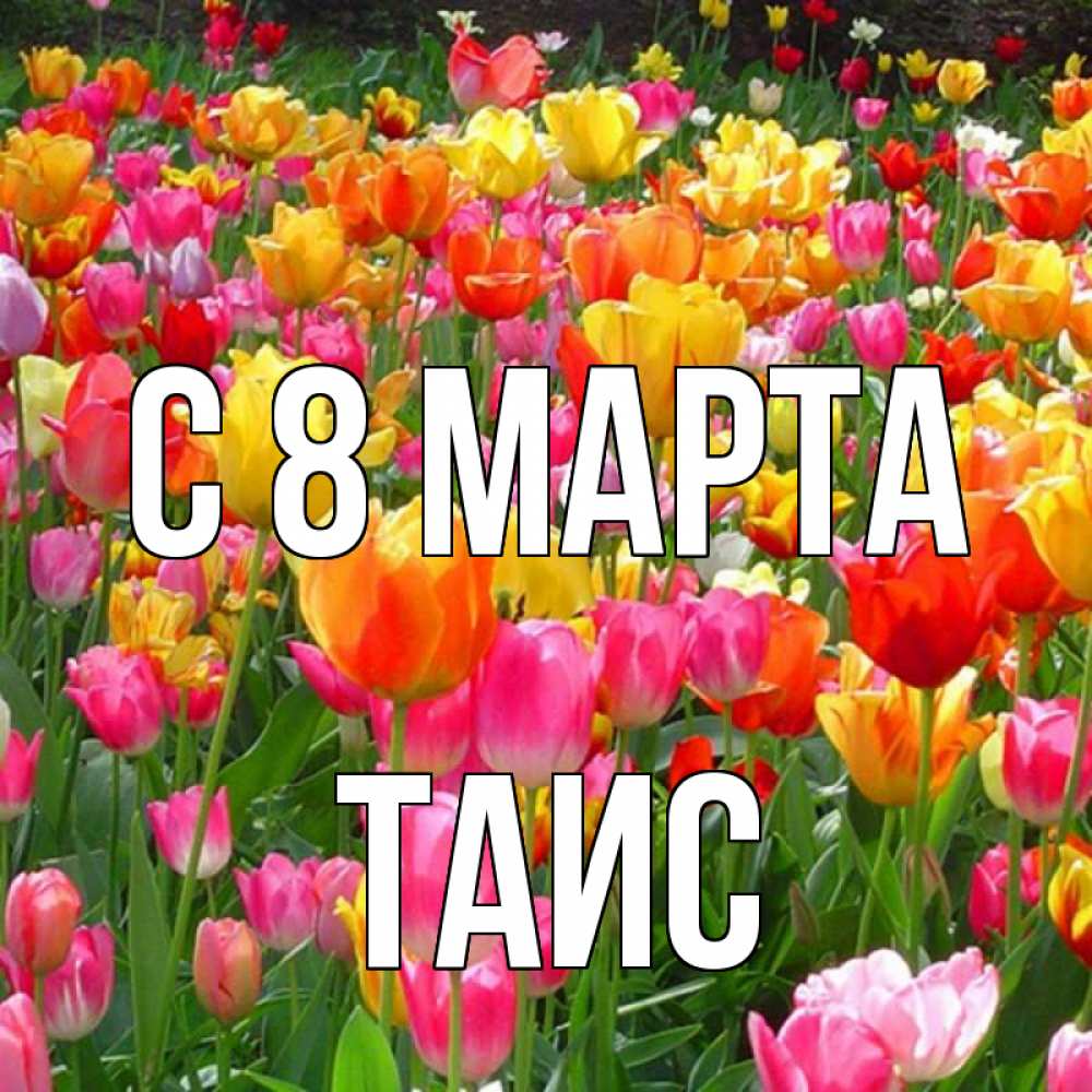 Открытка на каждый день с именем, Таис С 8 марта на международный женский день Прикольная открытка с пожеланием онлайн скачать бесплатно 