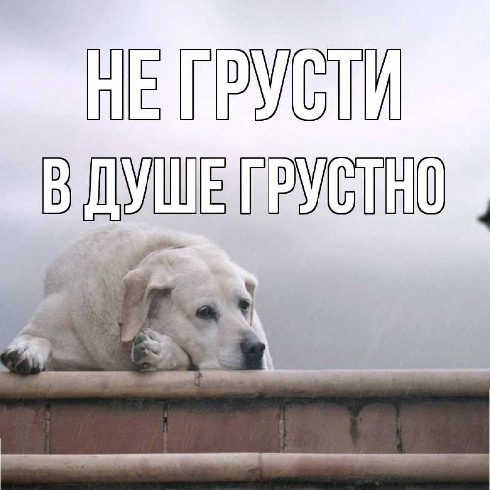 Картинка Не грусти, В душе грустно