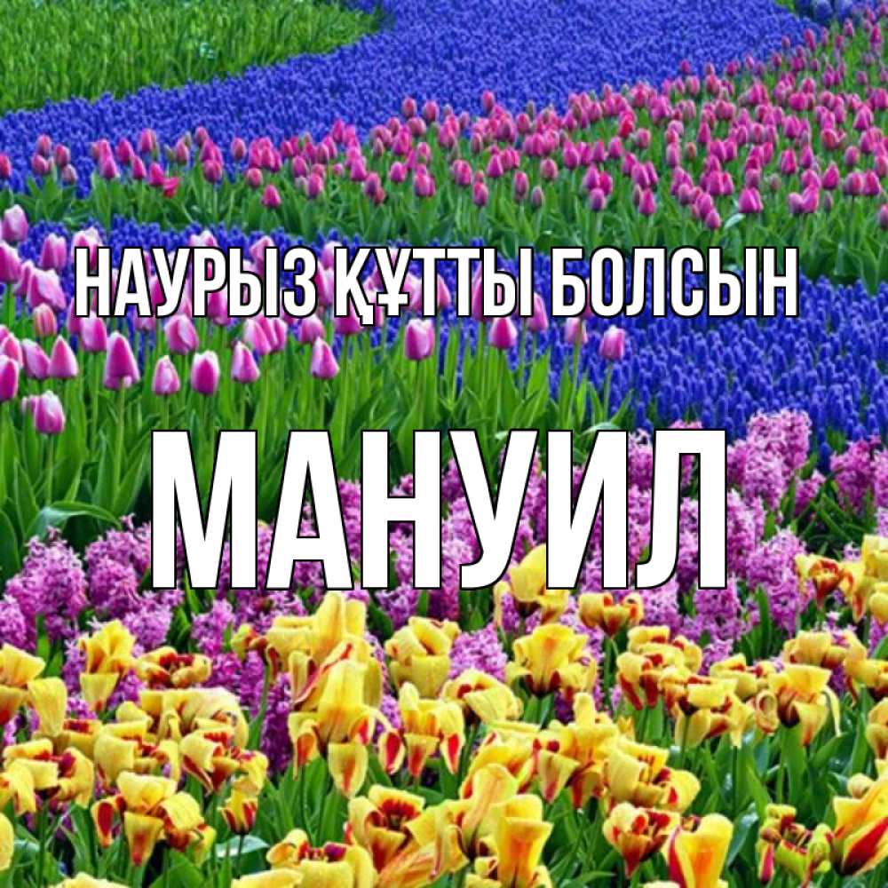 Открытка на каждый день с именем, Мануил Наурыз құтты болсын цветы Прикольная открытка с пожеланием онлайн скачать бесплатно 