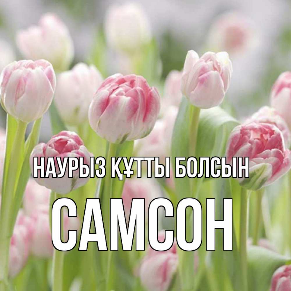 Открытка на каждый день с именем, Самсон Наурыз құтты болсын цветы Прикольная открытка с пожеланием онлайн скачать бесплатно 