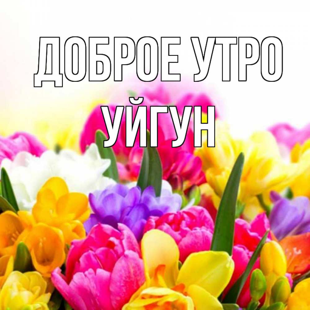 Картинка Доброе утро, Уйгун