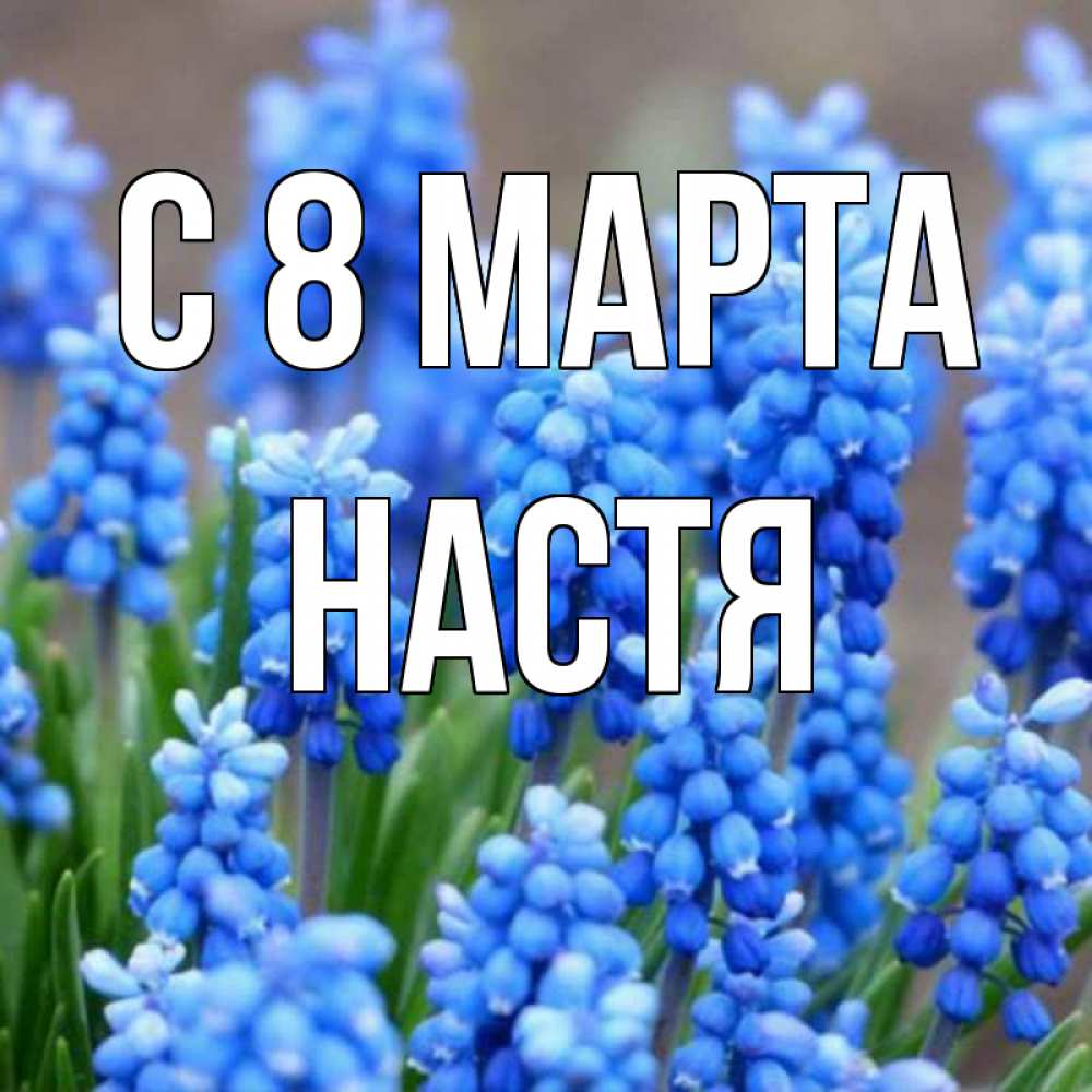 Картинка С 8 МАРТА, Настя