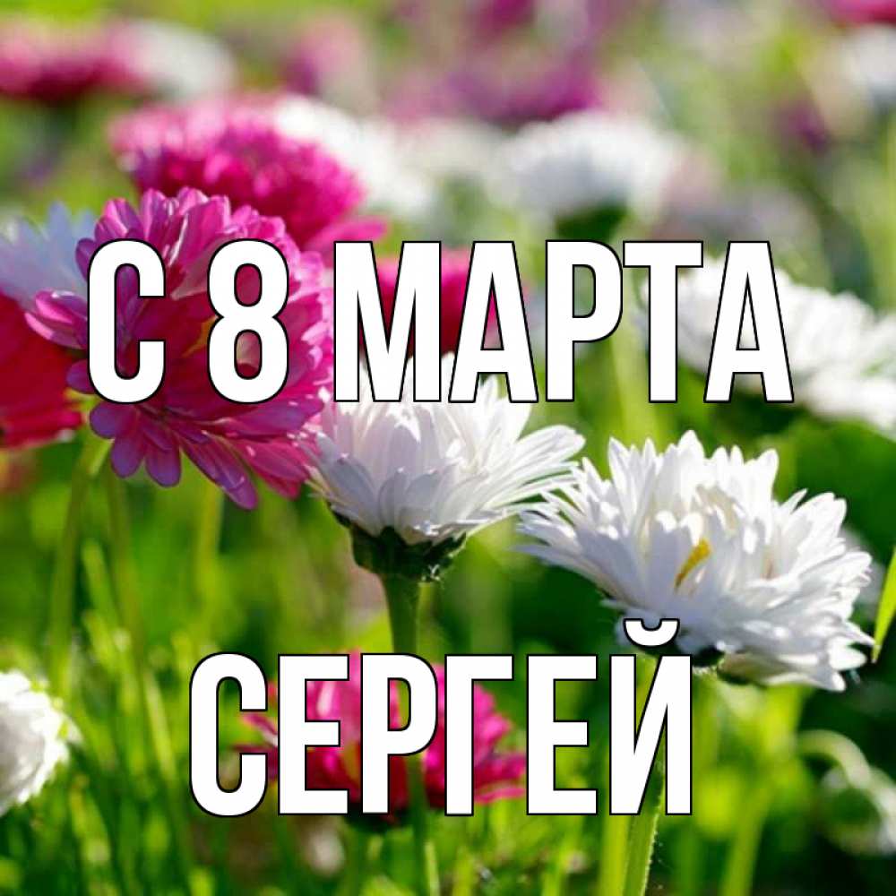 Открытка на каждый день с именем, Сергей С 8 марта международный женский день 1 Прикольная открытка с пожеланием онлайн скачать бесплатно 