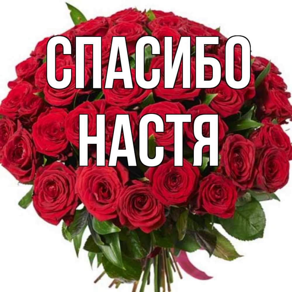 Спасибо настенька картинки