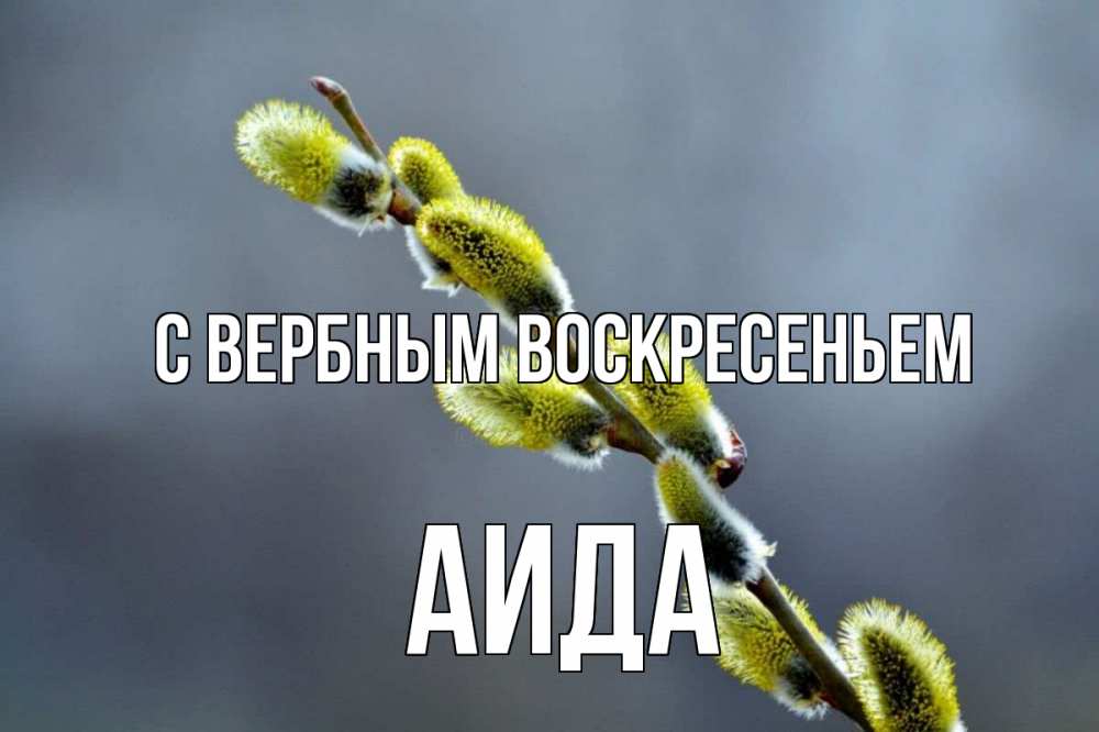 Открытка на каждый день с именем, Аида С вербным воскресеньем верба Прикольная открытка с пожеланием онлайн скачать бесплатно 
