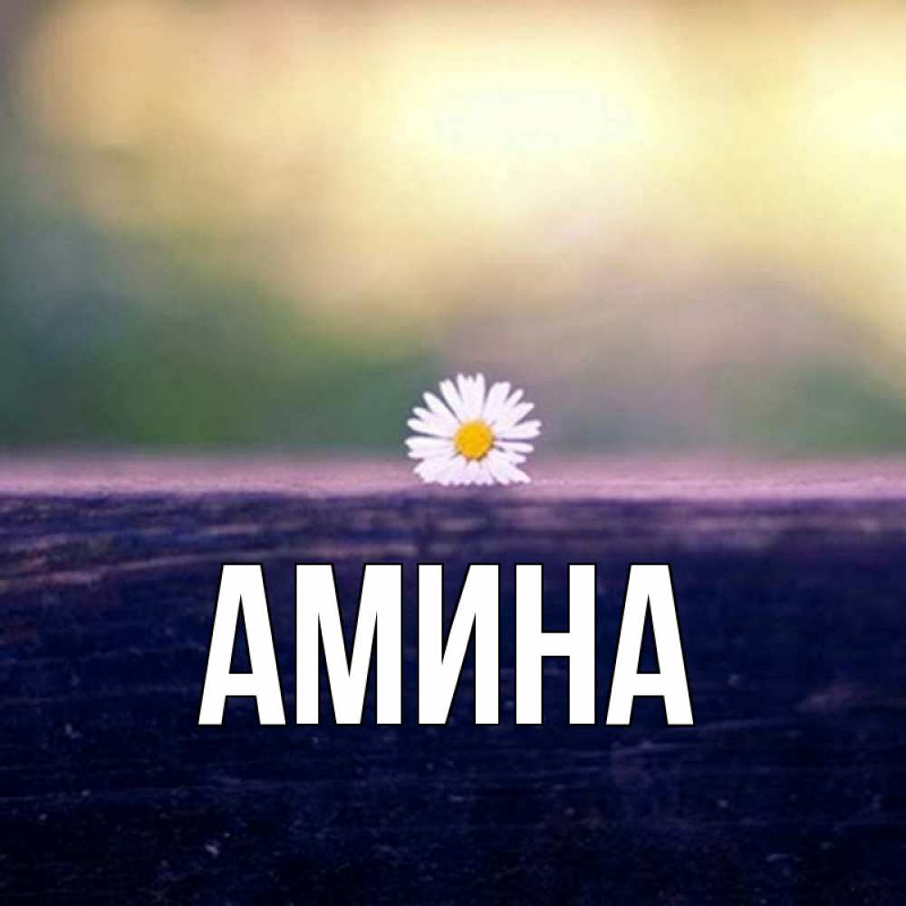 Открытка на каждый день с именем, Амина Главная приходи в гости Прикольная открытка с пожеланием онлайн скачать бесплатно 