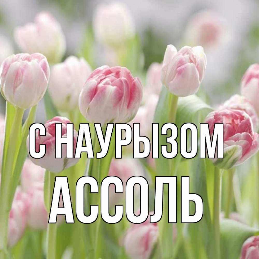 Открытка на каждый день с именем, Ассоль С наурызом цветы Прикольная открытка с пожеланием онлайн скачать бесплатно 