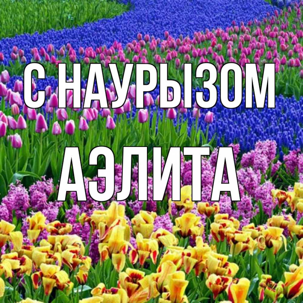 Открытка на каждый день с именем, Аэлита С наурызом цветы Прикольная открытка с пожеланием онлайн скачать бесплатно 