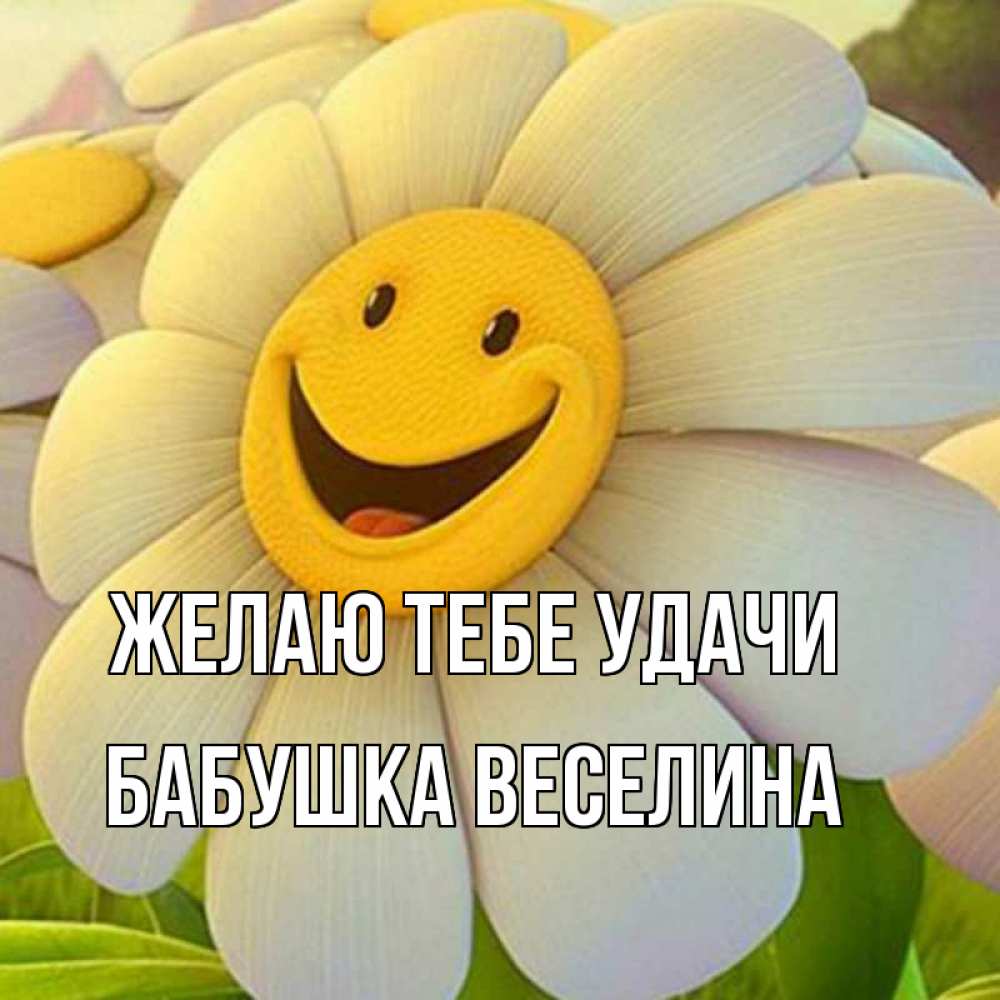 Открытка на каждый день с именем, Бабушка-Веселина Желаю тебе удачи подписать открытку своим текстом Прикольная открытка с пожеланием онлайн скачать бесплатно 