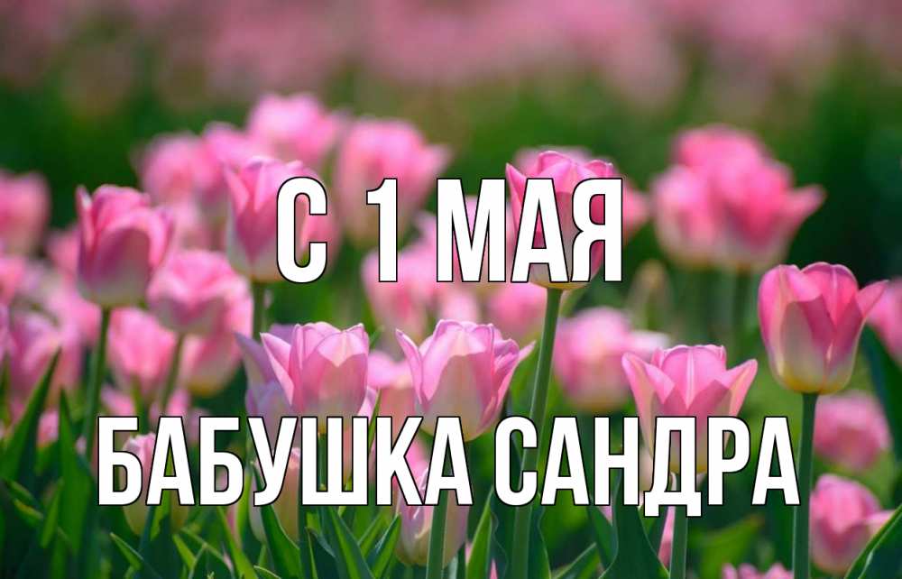 Открытка на каждый день с именем, Бабушка-Сандра С 1 мая С 1 мая Прикольная открытка с пожеланием онлайн скачать бесплатно 