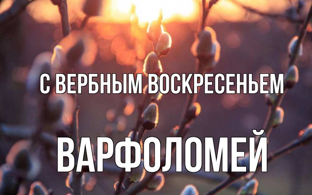 Открытка на каждый день с именем, Варфоломей С вербным воскресеньем верба Прикольная открытка с пожеланием онлайн скачать бесплатно 