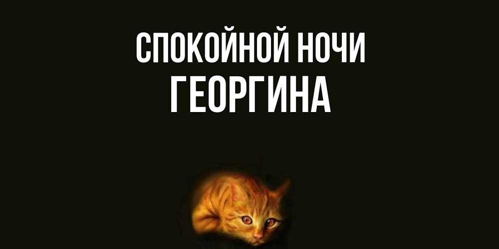 Открытка на каждый день с именем, Георгина Спокойной ночи кот Прикольная открытка с пожеланием онлайн скачать бесплатно 