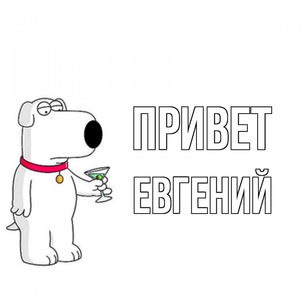 Открытка на каждый день с именем, Евгений Привет собака и коктейль Прикольная открытка с пожеланием онлайн скачать бесплатно 