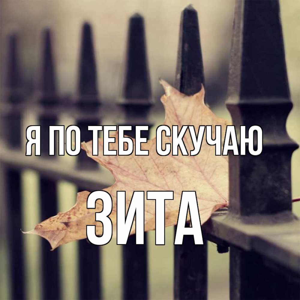 Открытка на каждый день с именем, Зита Я по тебе скучаю очень скучно Прикольная открытка с пожеланием онлайн скачать бесплатно 