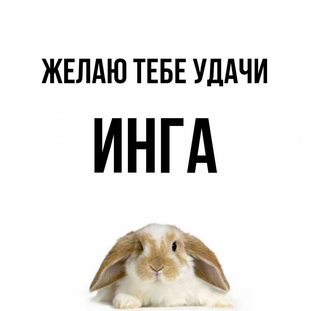 Картинка С Именем Инга