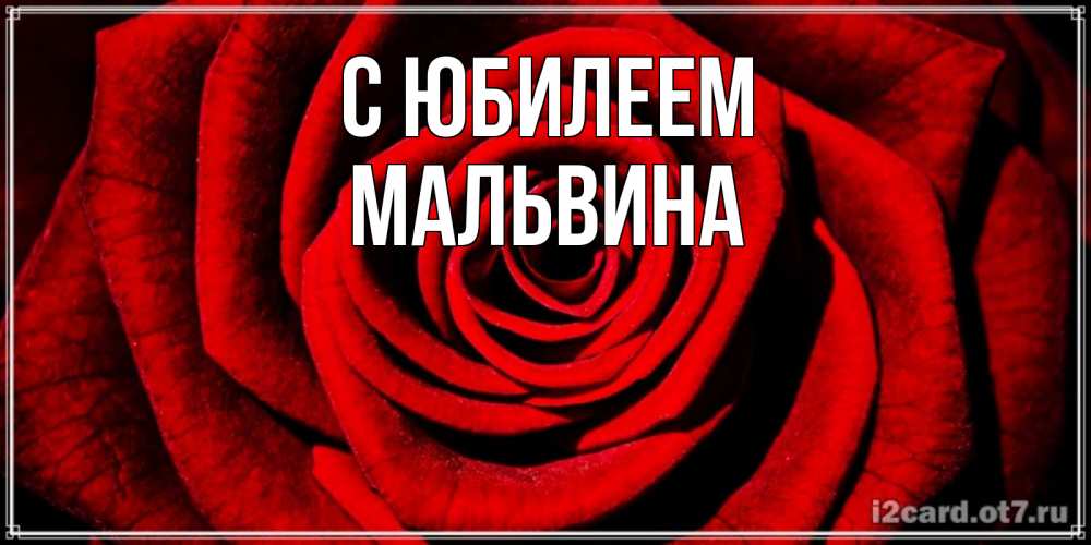 Открытка на каждый день с именем, Мальвина С юбилеем алая роза Прикольная открытка с пожеланием онлайн скачать бесплатно 