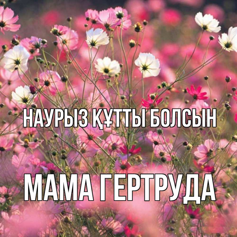 Открытка на каждый день с именем, Мама-Гертруда Наурыз құтты болсын красиво 1 Прикольная открытка с пожеланием онлайн скачать бесплатно 