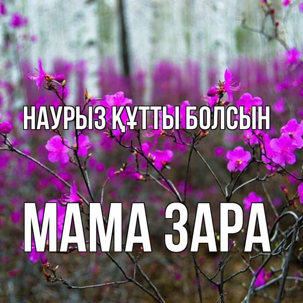 Открытка на каждый день с именем, Мама-Зара Наурыз құтты болсын дикие цветы Прикольная открытка с пожеланием онлайн скачать бесплатно 