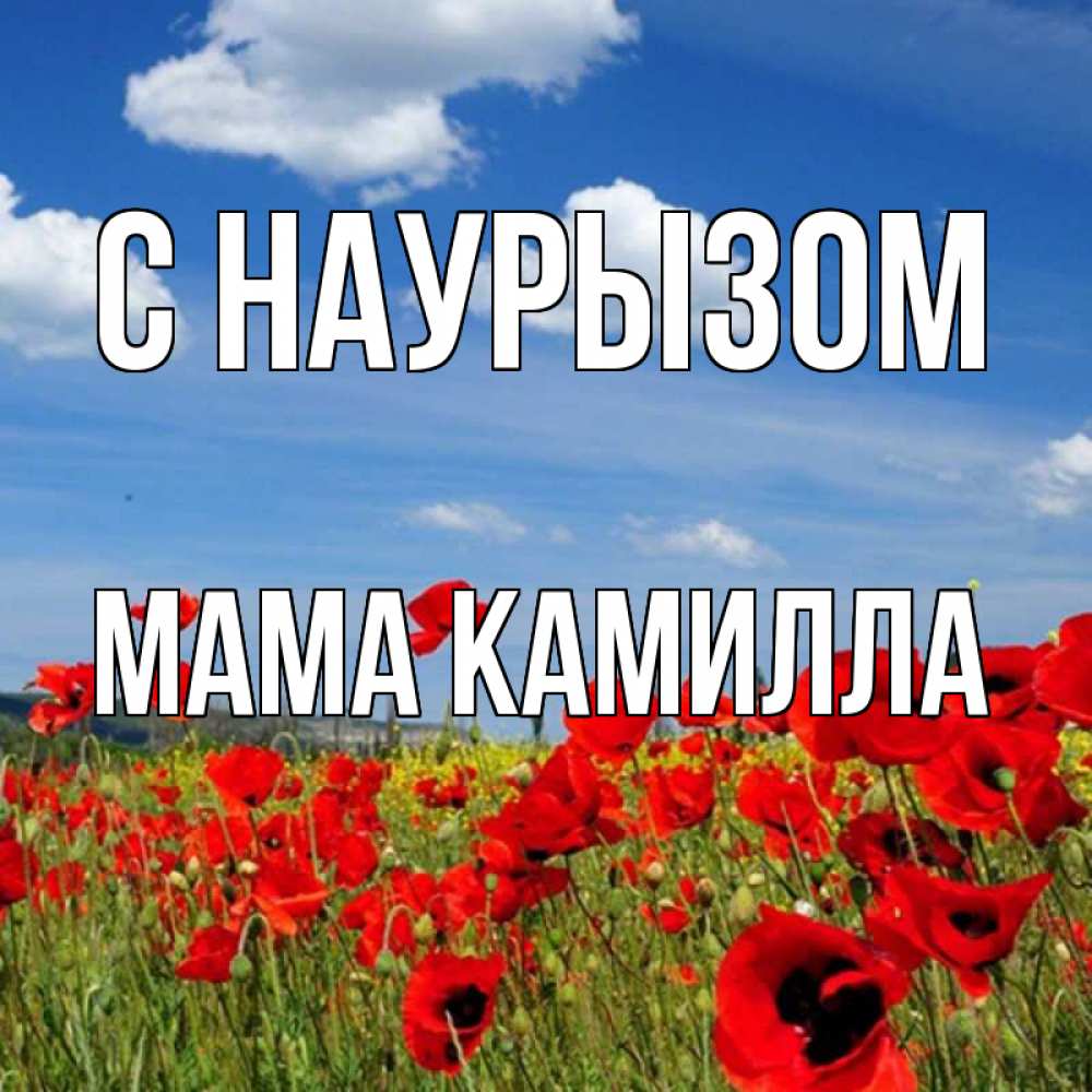 Открытка на каждый день с именем, Мама-Камилла С наурызом праздник весны наурыз очень красивая картинка Прикольная открытка с пожеланием онлайн скачать бесплатно 