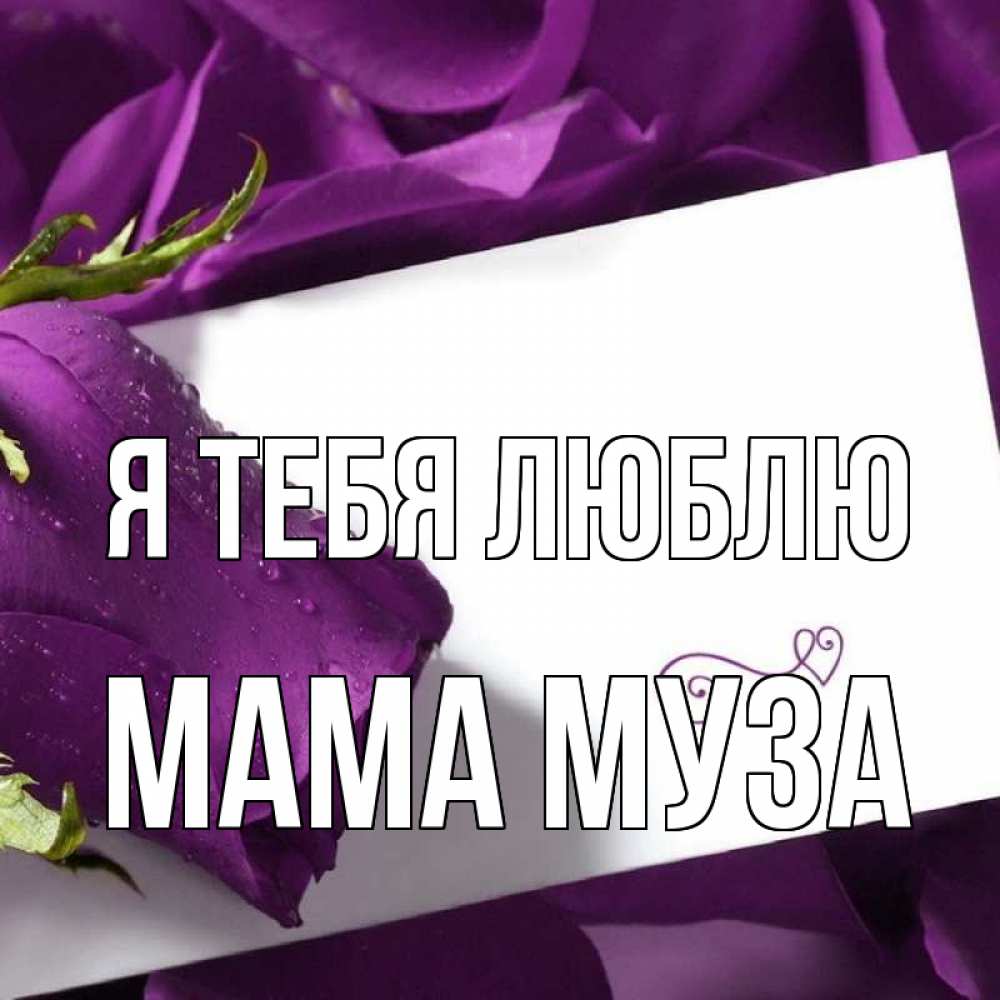 Открытка на каждый день с именем, Мама-Муза Я тебя люблю роза Прикольная открытка с пожеланием онлайн скачать бесплатно 