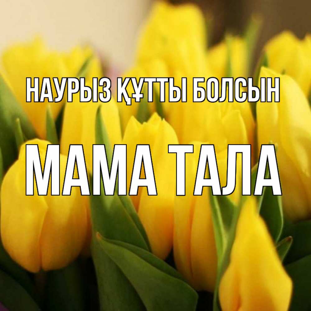 Открытка на каждый день с именем, Мама-Тала Наурыз құтты болсын цветы Прикольная открытка с пожеланием онлайн скачать бесплатно 