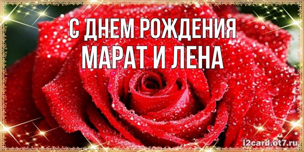 Открытка на каждый день с именем, Марат-и-Лена С днем рождения роса и роза. открытка с красивой розой Прикольная открытка с пожеланием онлайн скачать бесплатно 
