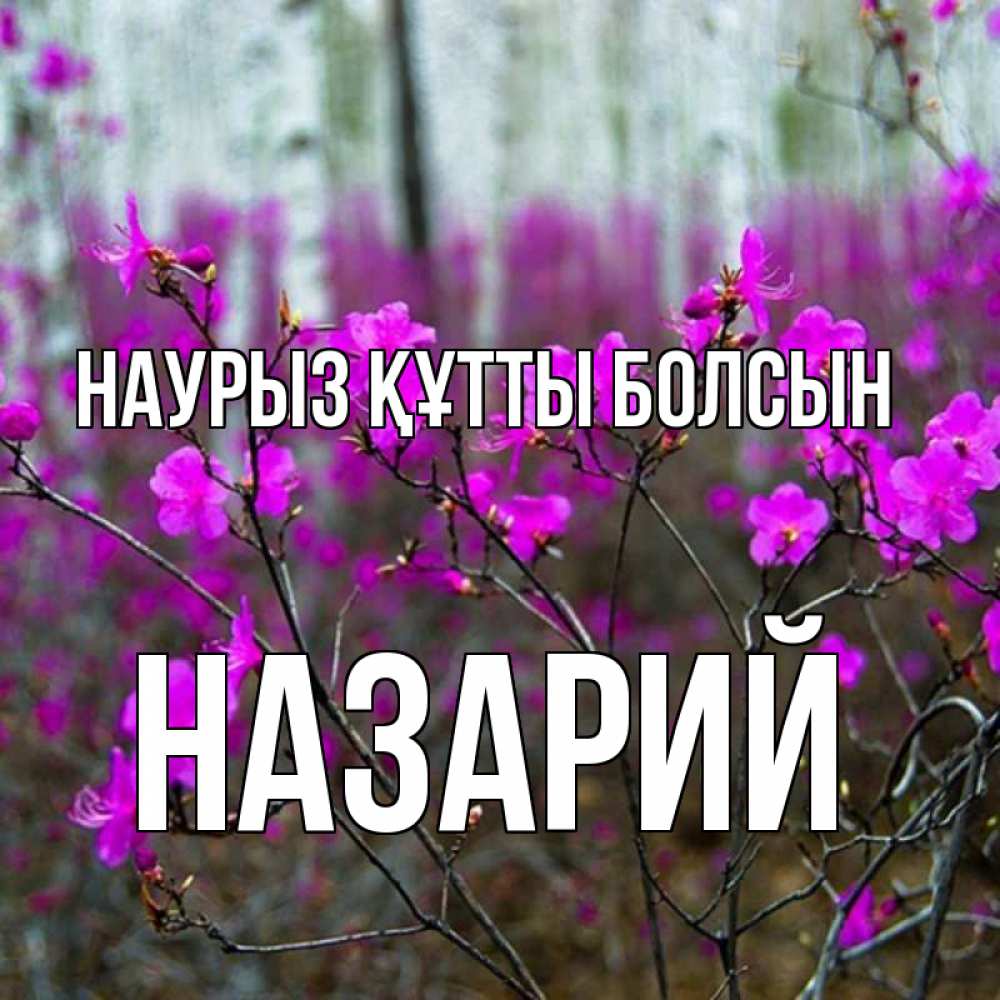 Открытка на каждый день с именем, Назарий Наурыз құтты болсын дикие цветы Прикольная открытка с пожеланием онлайн скачать бесплатно 