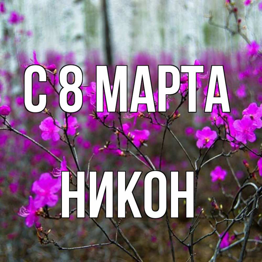 Открытка на каждый день с именем, Никон С 8 МАРТА дикие цветы Прикольная открытка с пожеланием онлайн скачать бесплатно 