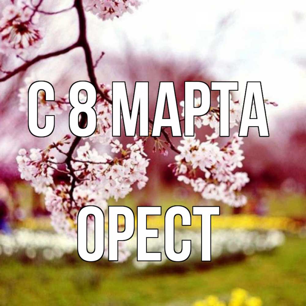 Открытка на каждый день с именем, Орест С 8 марта яблоня Прикольная открытка с пожеланием онлайн скачать бесплатно 