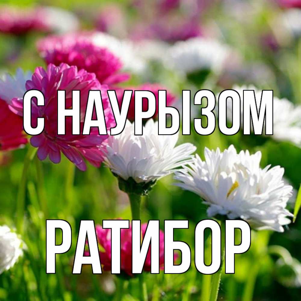 Открытка на каждый день с именем, Ратибор С наурызом праздник весны наурыз красота Прикольная открытка с пожеланием онлайн скачать бесплатно 