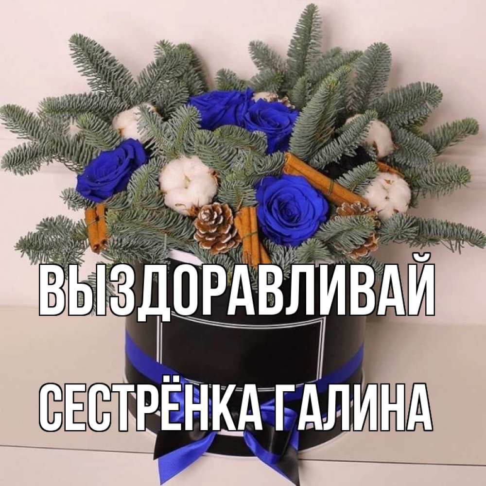 Открытка на каждый день с именем, Сестрёнка-Галина Выздоравливай короче кто то загрузил эти шишки Прикольная открытка с пожеланием онлайн скачать бесплатно 
