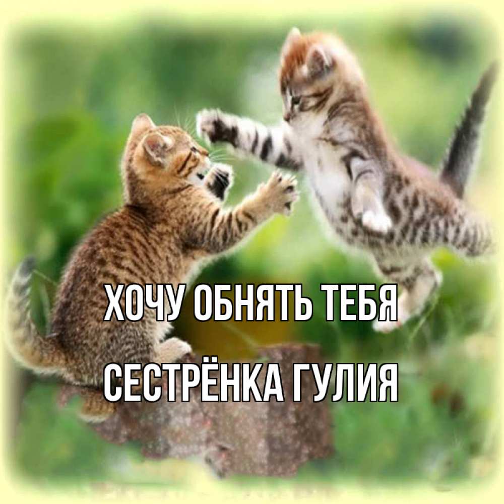 Открытка на каждый день с именем, Сестрёнка-Гулия Хочу обнять тебя игры котят Прикольная открытка с пожеланием онлайн скачать бесплатно 