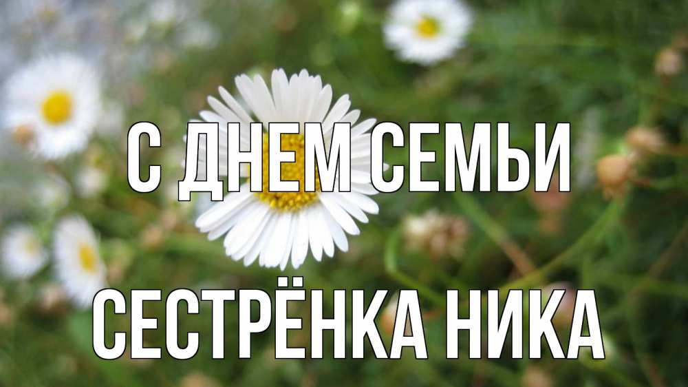 Открытка на каждый день с именем, Сестрёнка-Ника С днем семьи с днем семьи Прикольная открытка с пожеланием онлайн скачать бесплатно 
