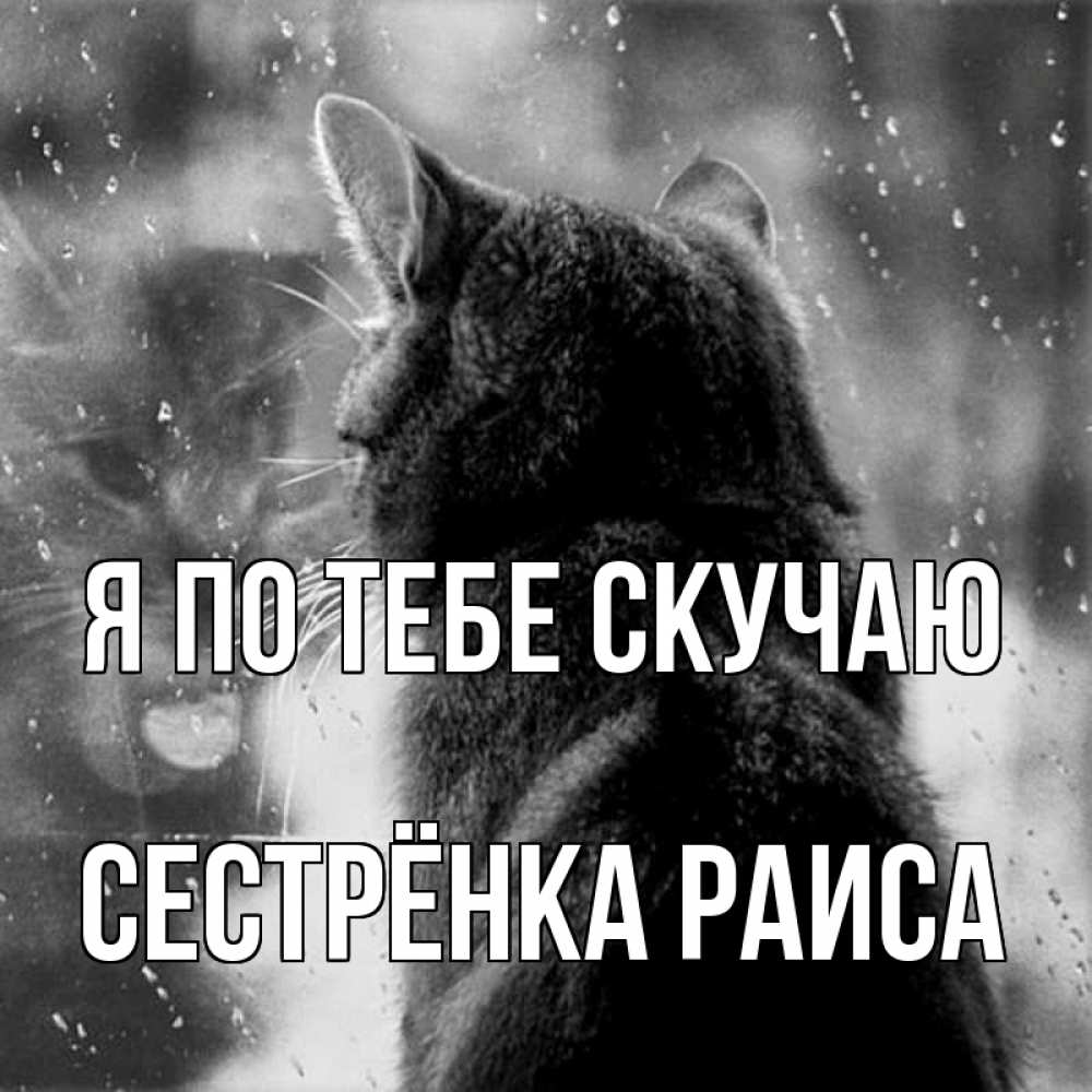 Открытка на каждый день с именем, Сестрёнка-Раиса Я по тебе скучаю скорее ко мне приходи 1 Прикольная открытка с пожеланием онлайн скачать бесплатно 