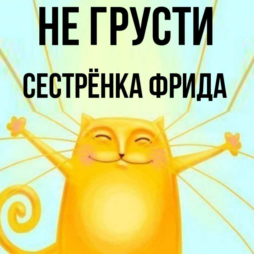 Открытка на каждый день с именем, Сестрёнка-Фрида Не грусти обнимашки усатые Прикольная открытка с пожеланием онлайн скачать бесплатно 