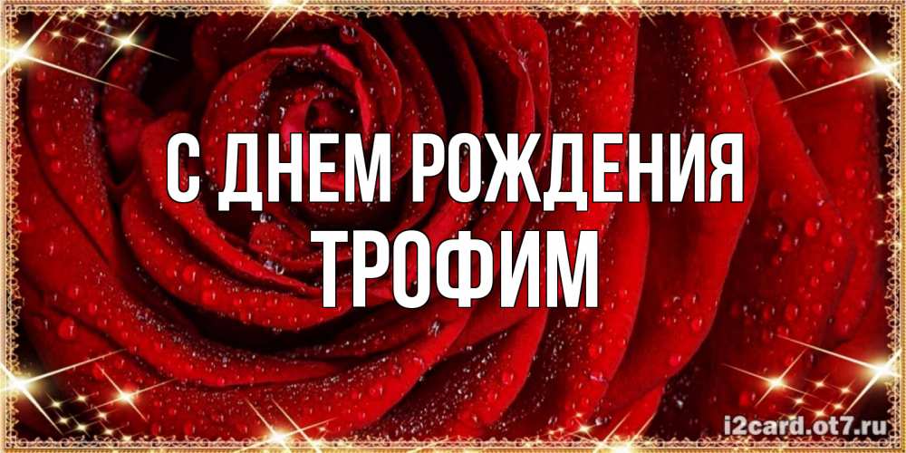 Открытка на каждый день с именем, Трофим С днем рождения роса на розе блестящая в лучах солнца Прикольная открытка с пожеланием онлайн скачать бесплатно 