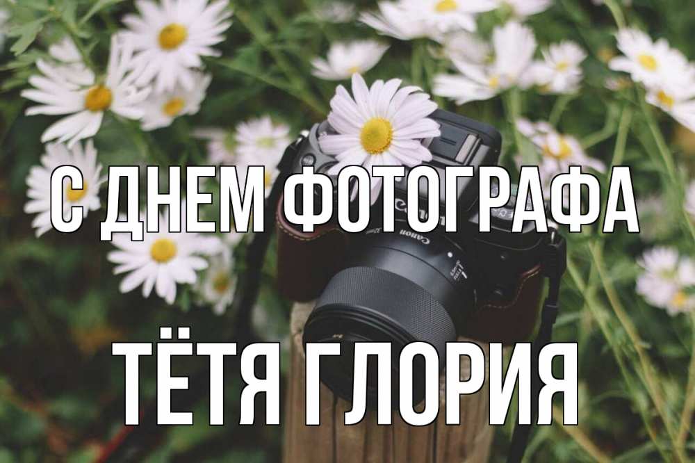 Открытка на каждый день с именем, Тётя-Глория С днем фотографа с днем фотографа Прикольная открытка с пожеланием онлайн скачать бесплатно 