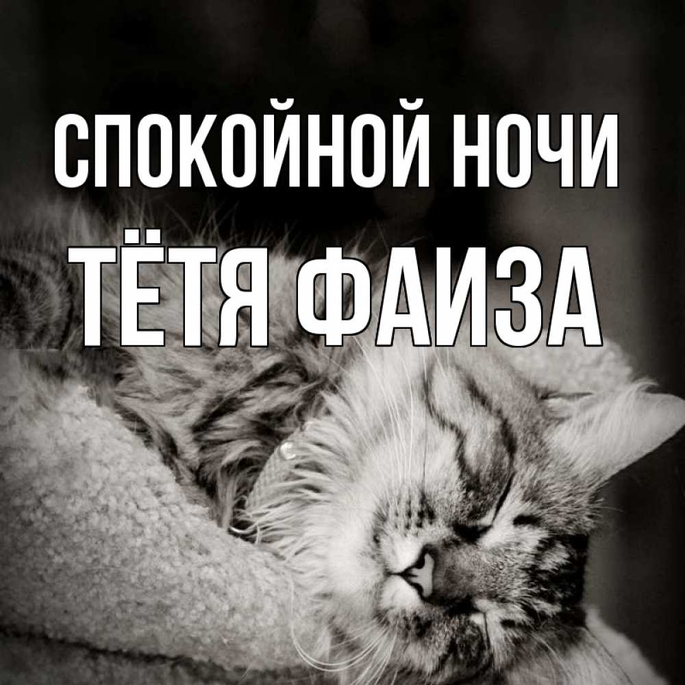 Открытка на каждый день с именем, Тётя-Фаиза Спокойной ночи котярик пушистый Прикольная открытка с пожеланием онлайн скачать бесплатно 