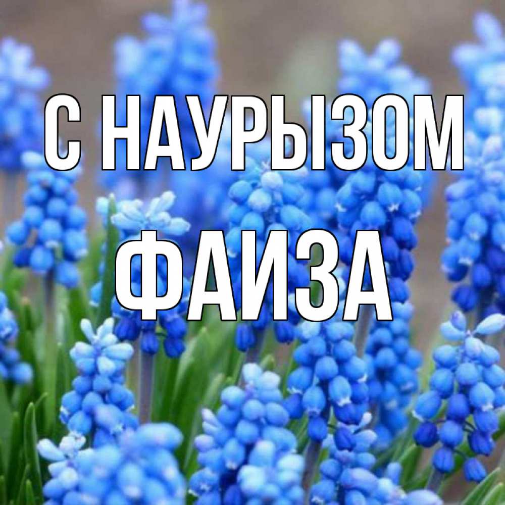 Открытка на каждый день с именем, Фаиза С наурызом Поздравительная открытка для женщин с цветами на праздничную дату Прикольная открытка с пожеланием онлайн скачать бесплатно 