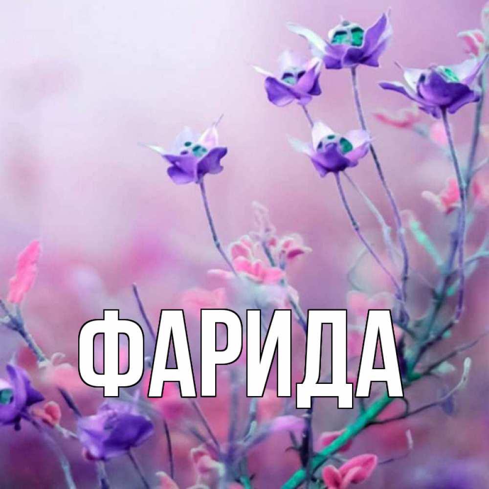 Открытка на каждый день с именем, Фарида Главная международный женский день 2 Прикольная открытка с пожеланием онлайн скачать бесплатно 