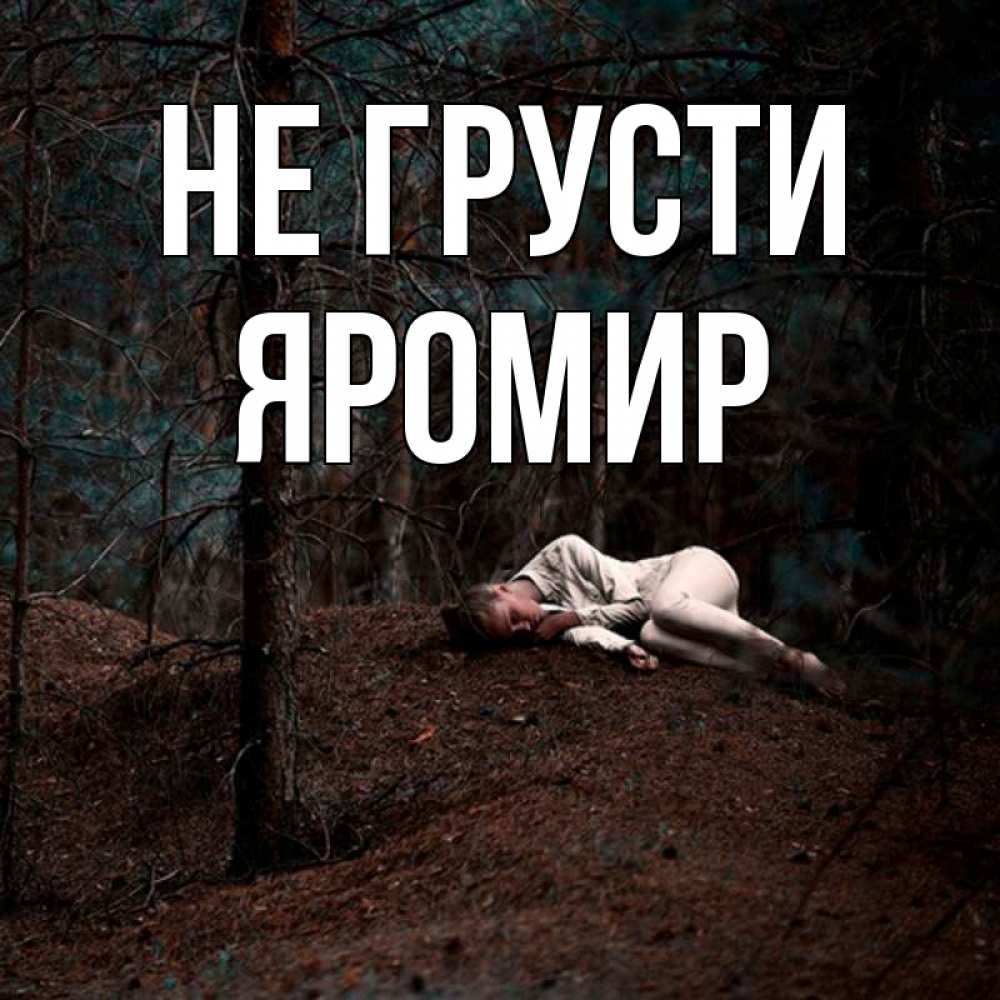 Открытка на каждый день с именем, Яромир Не грусти лес Прикольная открытка с пожеланием онлайн скачать бесплатно 