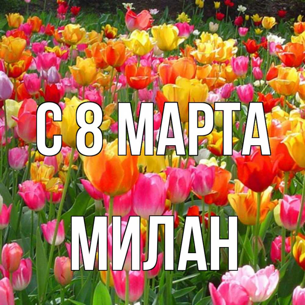 Открытка на каждый день с именем, Милан С 8 марта на международный женский день Прикольная открытка с пожеланием онлайн скачать бесплатно 