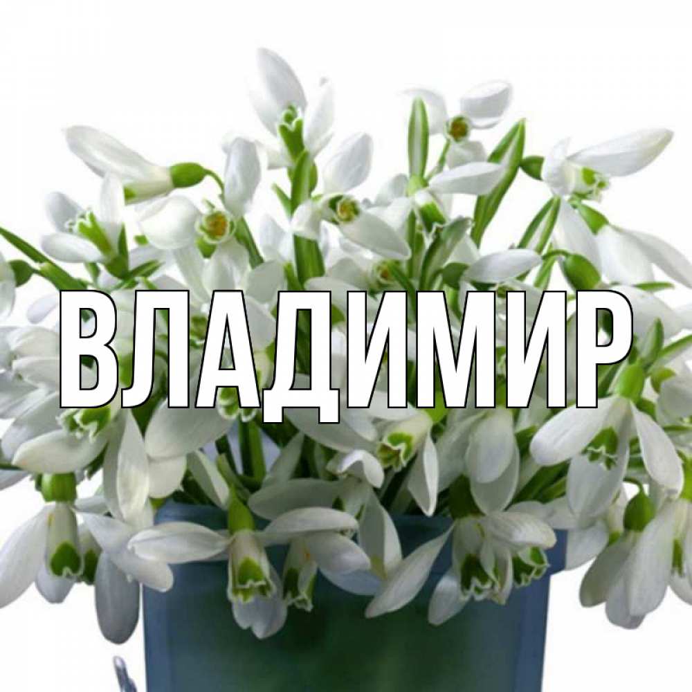 Открытка на каждый день с именем, Владимир Главная цветы к международному женскому дню Прикольная открытка с пожеланием онлайн скачать бесплатно 