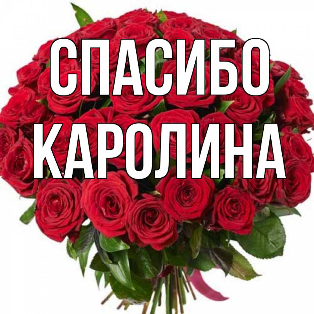 Картинки спасибо катюша
