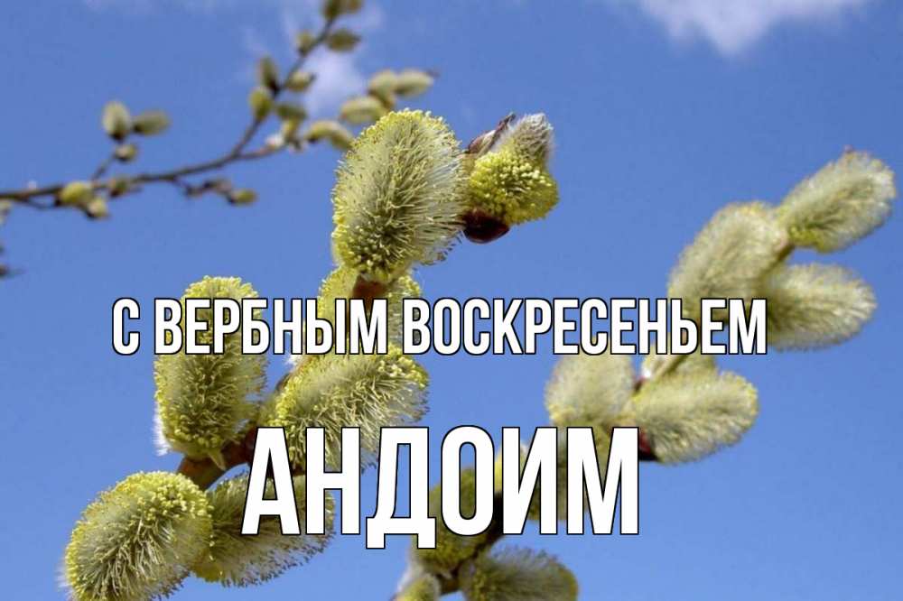 Открытка на каждый день с именем, Андоим С вербным воскресеньем верба Прикольная открытка с пожеланием онлайн скачать бесплатно 