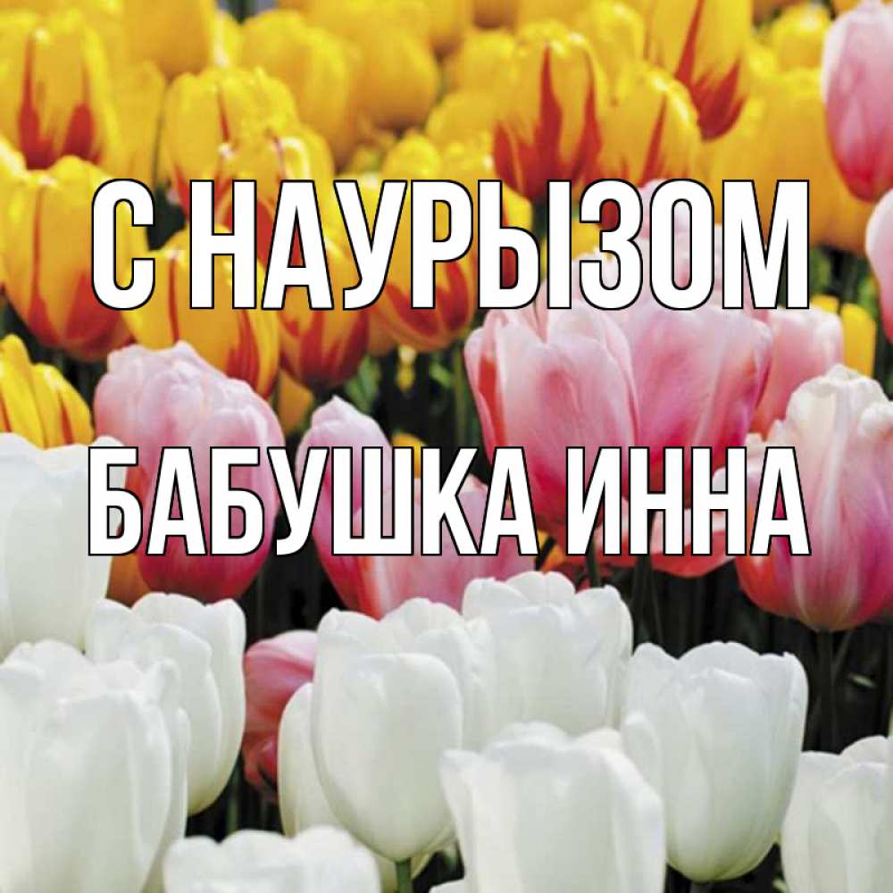 Открытка на каждый день с именем, Бабушка-Инна С наурызом разноцветные цветы Прикольная открытка с пожеланием онлайн скачать бесплатно 